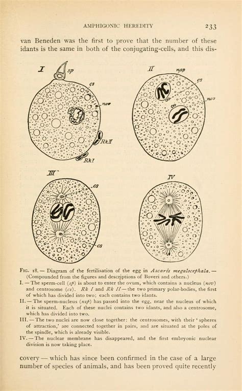 The germ-plasm; a theory of heredity : Weismann, August, 1834-1914 : Free Download, Borrow, and ...