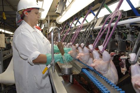 USDA gives poultry slaughterhouse green light to speed up processing