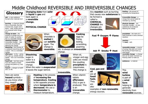 ReversIble and Irreversible Changes