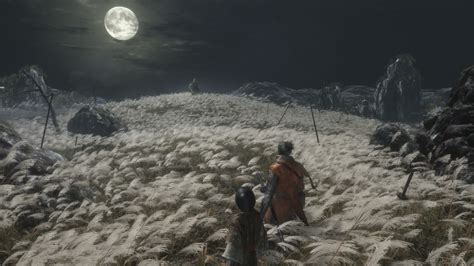 Sekiro: Shadows Die Twice - Where To Find Every Key Item For Lord Kuro ...