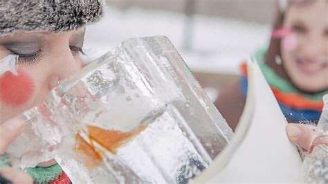 Michigan Brewers Guild Winter Beerfest Returns - LMCU Ballpark