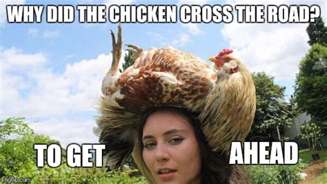 Image tagged in memes,funny,why the chicken cross the road - Imgflip