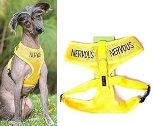 Amazon.com : "NERVOUS" Yellow Color Coded Small Vest Dog Harness (Maybe Unpredictable) PREVENTS ...
