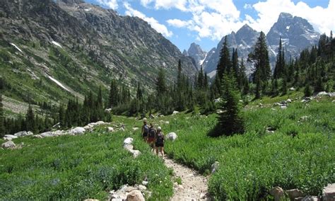 Cascade Canyon Trail Hike, Grand Teton National Park - AllTrips