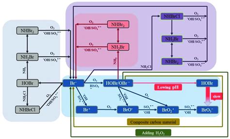 Inhibition mechanism of bromate formation (blue: bromate formation ...