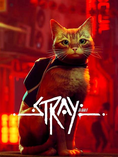 "Stray Cat Game poster" Poster for Sale by ZuliShoppy | Redbubble