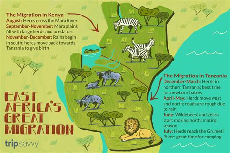 How to Experience the Great Migration in Kenya and Tanzania