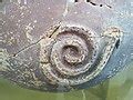 Category:Snakes in ancient pottery - Wikimedia Commons
