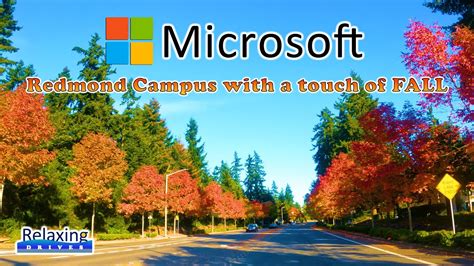 Driving Tour Microsoft Campus with a touch of Fall - Redmond, WA | Relaxing Drives - YouTube