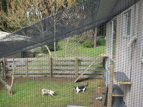 Cat Works Cat Enclosures in Mccrae, Melbourne, VIC, Pet Shops - TrueLocal