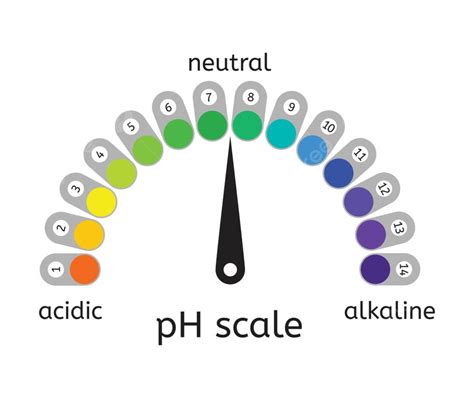 Ph Scale Vector Png Images Vector Ph Scale Of Acidic Chemical Test My ...