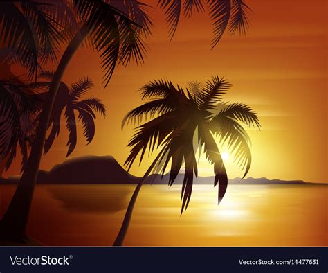 Orange tropical sunset Royalty Free Vector Image