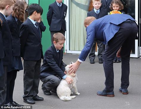 Prince Harry is quizzed by school children before taking part in a tree planting project | Daily ...