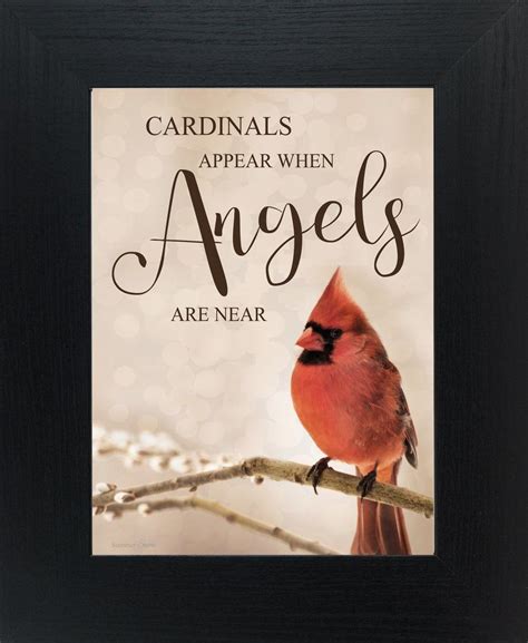 Cardinals Appear When Angels are Near SSA136 | Cardinal birds, Bird ...