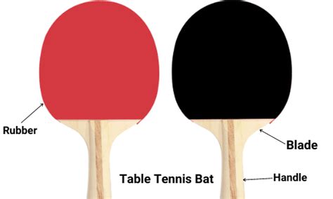 Table Tennis Equipment: An Overview - TABLE TENNIS ARENA