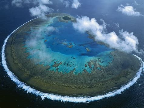 Lady Musgrave Island coral atoll, Great Barrier Reef, Australia [x- post r/islandporn 1024 x 768 ...