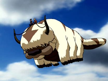 Beginner's Guide To The Outrageous Animals Of "Avatar: The Last Airbender"