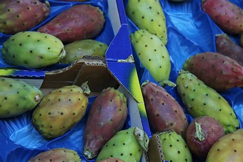 Buah Ara Kaktus Di Pasar Buah Ara Hijau Setempat Foto Latar belakang Dan Gambar Untuk Download ...