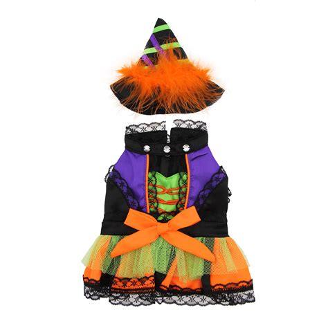 Halloween Witch Dog Costume | BaxterBoo