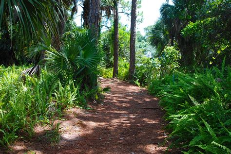 Sugar Sand Park – Florida Hikes