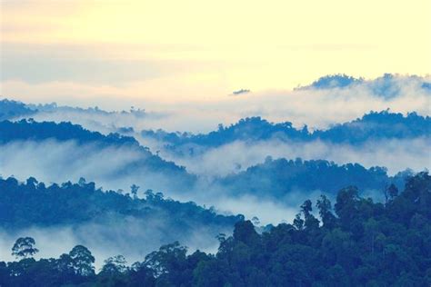 14 intriguing facts about Borneo - Oyster