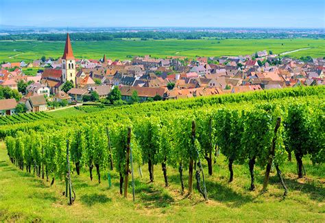 Elsass - Weinanbaugebiet, was ist das? Weinbaugebiete: Definition, Warenkunde, Lebensmittelkunde