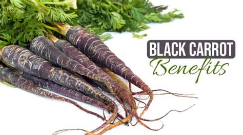 Top 4 Benefits of Black Carrot| HealthtoStyle