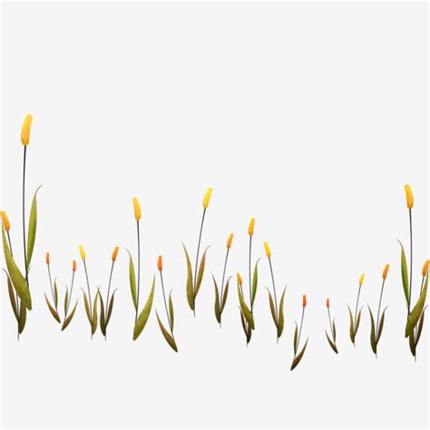 Reed PNG Picture, Hand Painted Reed Plant Nature, Nature Clipart, Illustration, Creative Cartoon ...