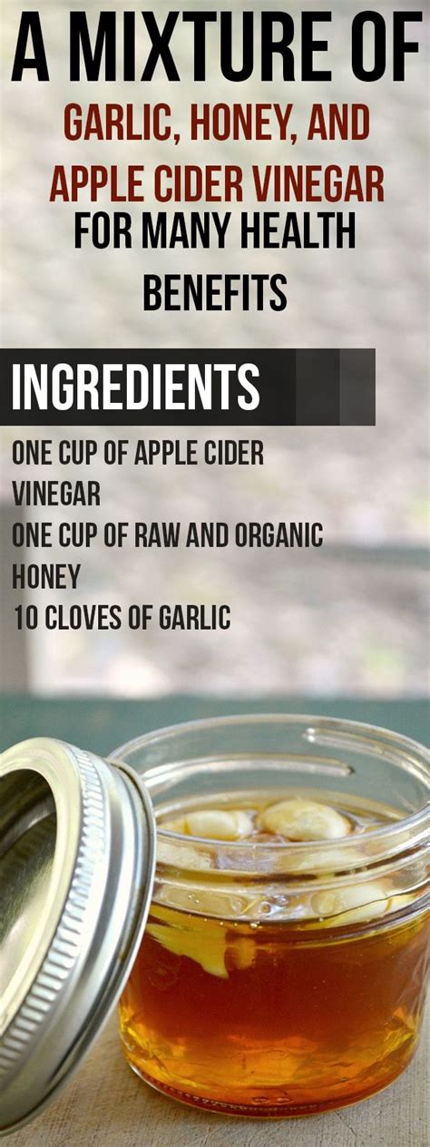 A Mixture of Garlic, Honey, and Apple Cider Vinegar for Many Health ...