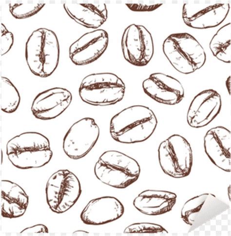 Coffee Bean Pattern Including Seamless On White Background - Coffee ...