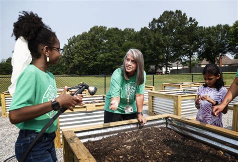 Collierville agriSTEM garden bursts forth from students' curiosity - Memphis Local, Sports ...