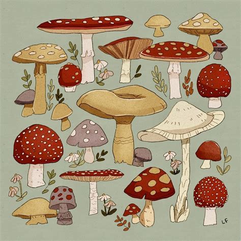 Pin by Melissa Flowers on wall | Mushroom art, Mushroom drawing, Cute art