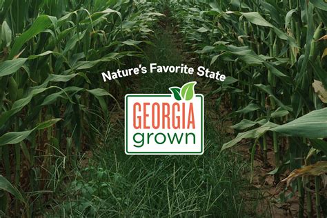 Georgia Korean American Farmers Association Inc - Georgia Grown