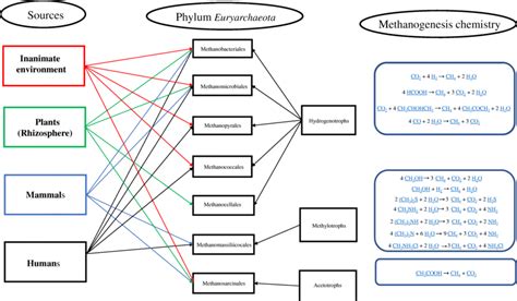 Methanogens sources, biochemistry and phylogeny | Download Scientific ...