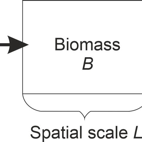 Schematic representation of the primary production resulting from... | Download Scientific Diagram