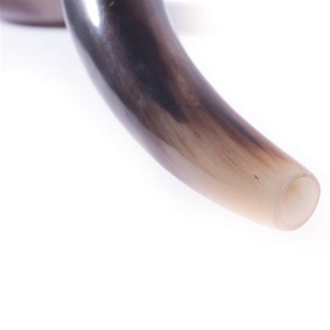 Holy Shofar- Polished Kudu Shofar- Extra Large