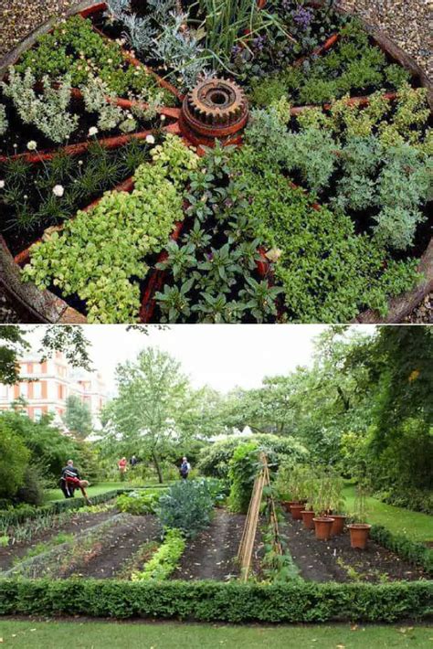 Designing the Ultimate Eco-friendly Garden - 1001 Gardens