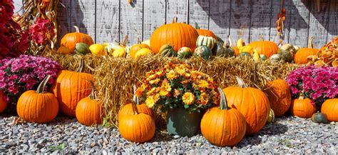 Fall Harvest Display Free Stock Photo - Public Domain Pictures