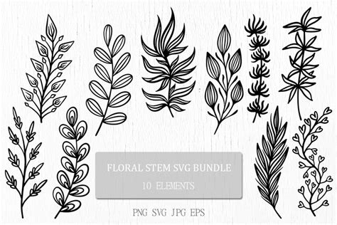 Floral Stem SVG Bundle | Botanical Leaves Borders