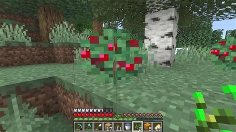 Minecraft Sweet Berries: Spawn, uses and more!