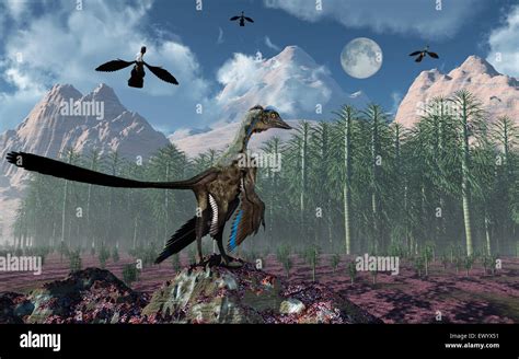 Archaeopteryx hi-res stock photography and images - Alamy