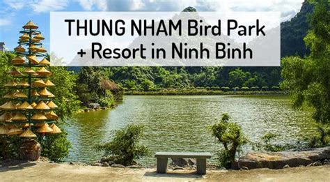 THUNG NHAM ️ Bird park + Resort (TIPS) | 2024