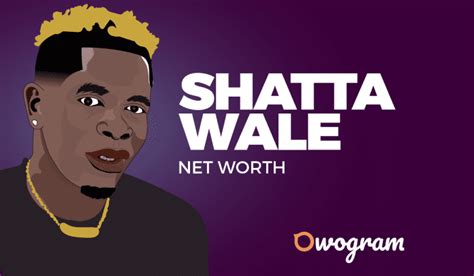 Shatta Wale Net Worth, Age, Career & Biography 2023 - Owogram