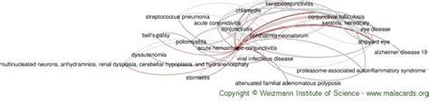 Acute Hemorrhagic Conjunctivitis disease: Malacards - Research Articles ...