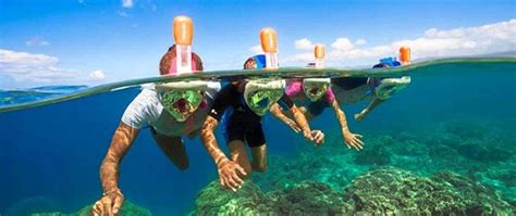 Enjoy Your Trip More with Discount Maui Activities - Auntie Snorkel