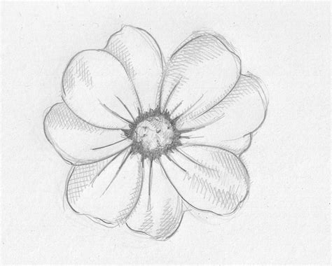 Easy Drawing Flowers at GetDrawings | Free download