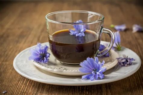 What is Chicory Coffee: A Unique and Healthful Beverage to Explore