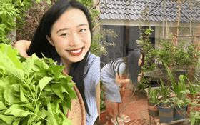 Quây sân thượng thành vườn: Bắt sâu 20 phút mỗi ngày, dư rau thì cả nhà liên hoan lẩu nướng