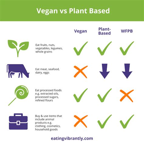 Vegan vs Plant-Based: Are They The Same Thing?