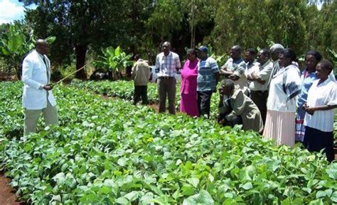 Willy Kavuu: This is why I quit farming